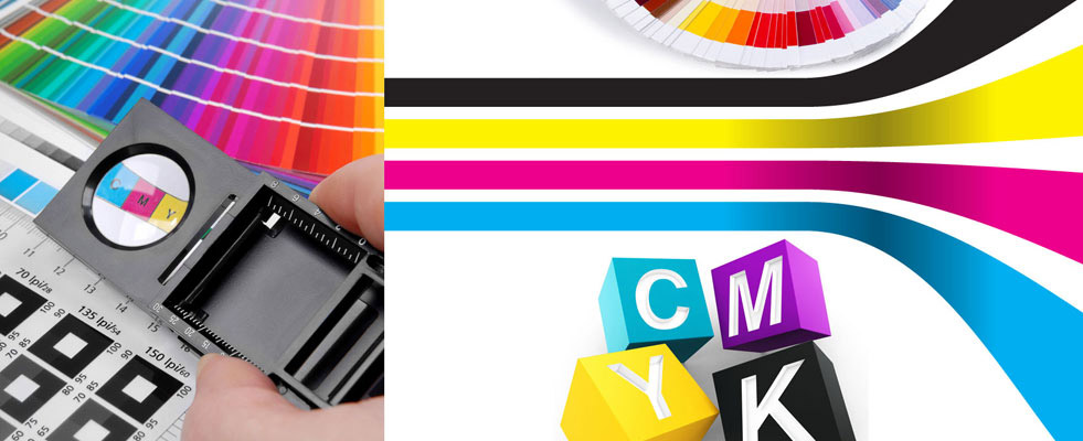 Imagen ilustrativa de Duplicaciones